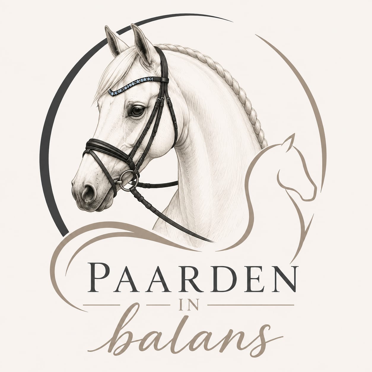 Paarden in balans